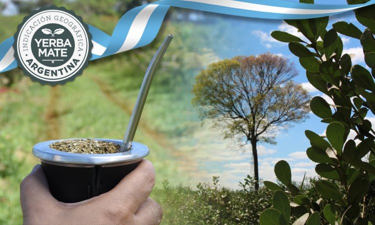 Argentina organiza el primer Mundial de la Yerba Mate