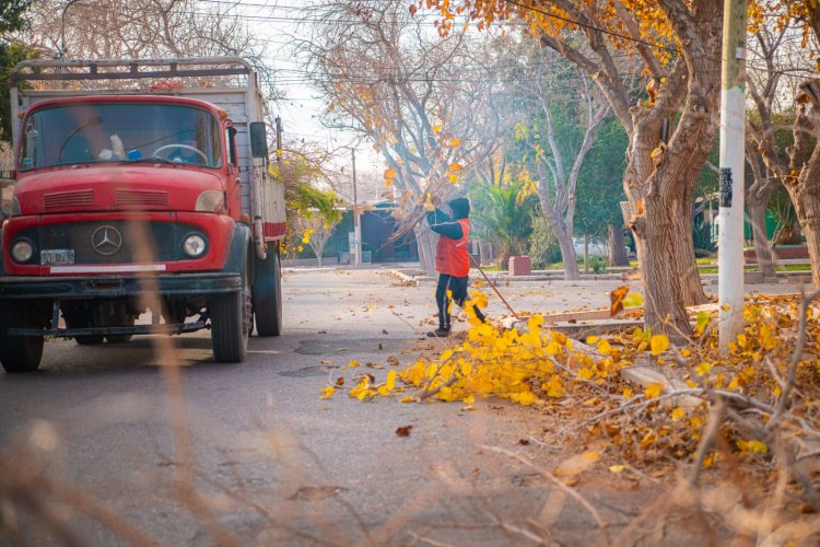 La poda en Rivadavia avanza para cuidar los árboles del departamento de manera organizada y segura