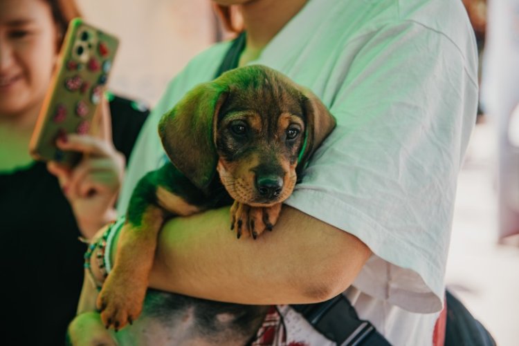 Rivadavia recibirá un operativo integral de tenencia responsable de mascotas