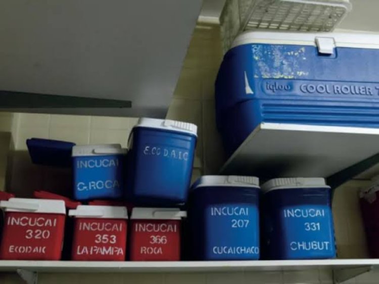 El Incucai comenzará a cobrar los estudios y prácticas previos a un trasplante