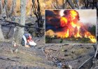 Un estudio comprobó que los incendios forestales alteraron la calidad del agua en la Patagonia