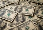El dólar frenó las subas luego de cinco jornadas consecutivas