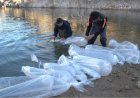 Siembran  600 reproductores de pejerrey en Punta Negra