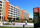 Argentina- Egipto: los empleados públicos podrán salir antes?