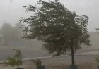 Nevadas, viento blanco y Zonda para San Juan