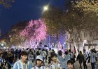 Argentina finalista: San Juan estalló de alegría
