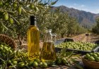 Últimos días para participar del XIV Concurso Internacional de Aceites de Oliva