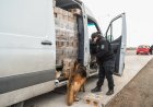 San Juan y Mendoza reforzaron los controles en el límite interprovincial con un operativo conjunto