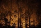 España no logra controlar los incendios forestales