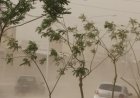 Viento Zonda: Capital reforzó sus equipos de emergencia