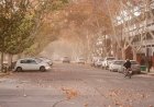 Alerta amarilla por la llegada de viento zonda para mañana viernes