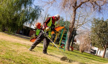 Capital: continúan las tareas de limpieza de plazas y espacios verdes