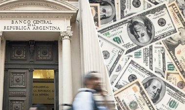 El Banco Central compró más de 200 millones de dólares para las reservas
