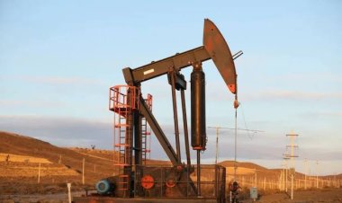 El agro, la minería y la energía aportarían divisas récord por US$57.200 millones en 2026