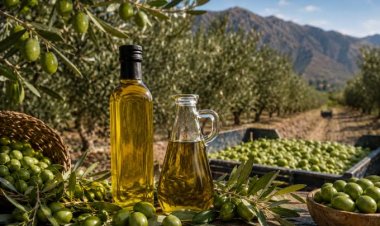 Últimos días para participar del XIV Concurso Internacional de Aceites de Oliva