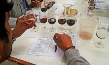 El Concurso Nacional de Vinos Cata San Juan presenta una nueva edición en La Rural