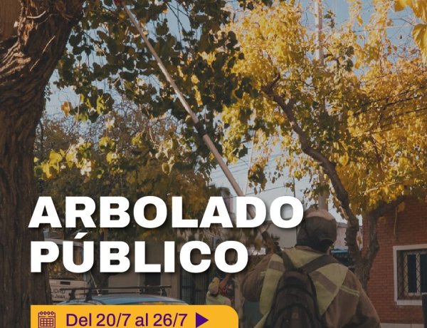 La Ciudad continúa con las tareas de poda y mantenimiento del arbolado público