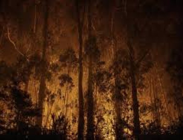España no logra controlar los incendios forestales