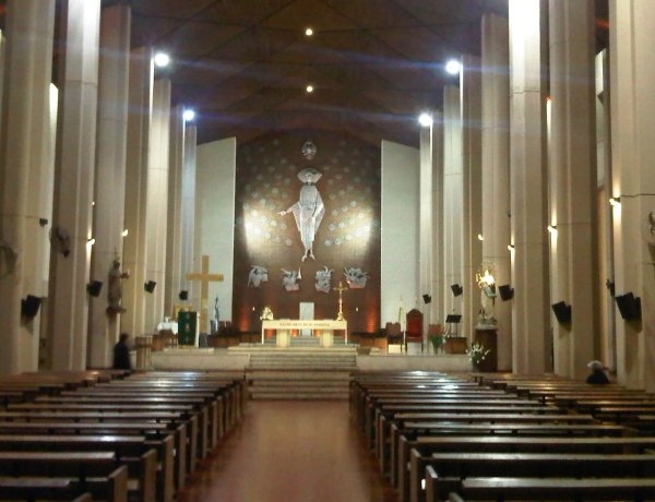 Confirman que el velorio de los cuatro sanjuaninos fallecidos en la tragedia aérea se hará en la Catedral