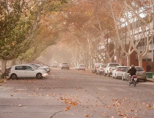 Alerta amarilla por la llegada de viento zonda para mañana viernes