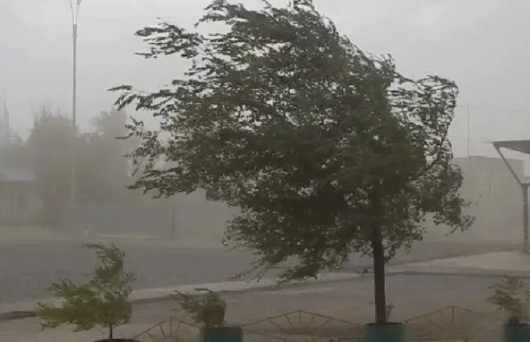 Nevadas, viento blanco y Zonda para San Juan