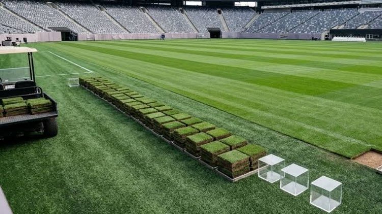 La FIFA vende el césped de la final del Mundial 2026: cuánto cuesta un fragmento original