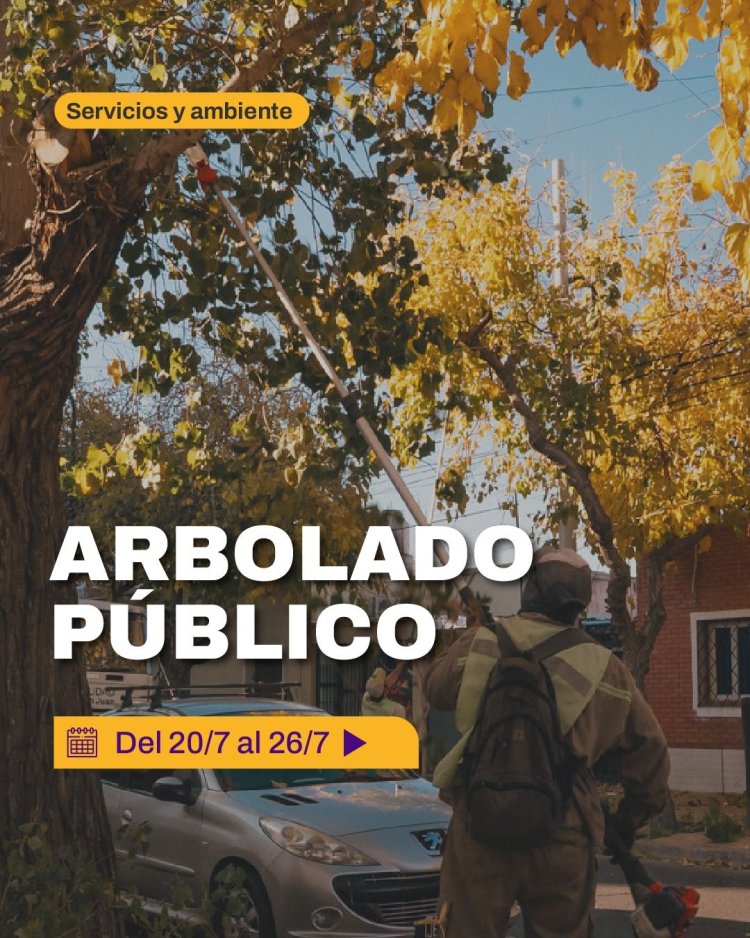La Ciudad continúa con las tareas de poda y mantenimiento del arbolado público