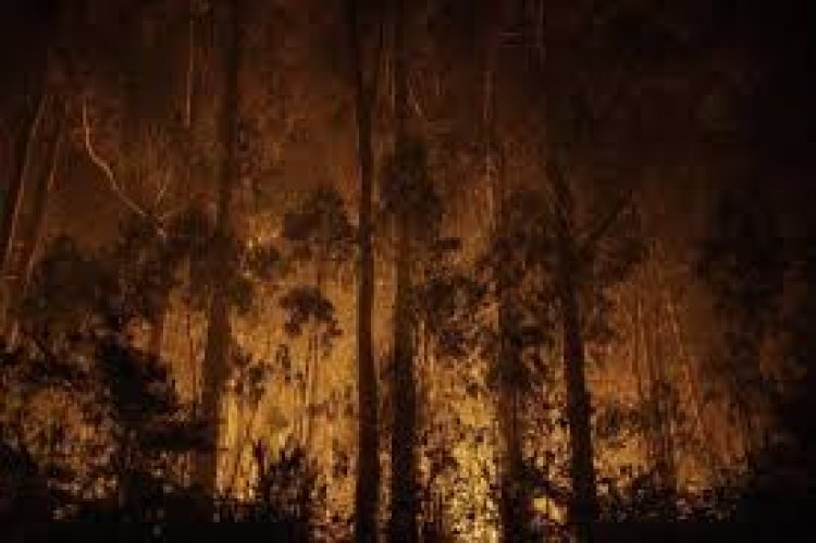 España no logra controlar los incendios forestales