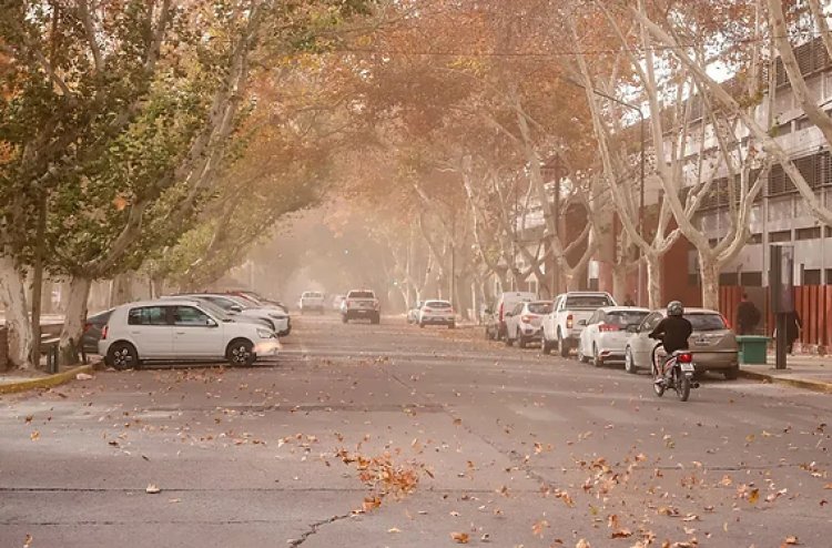 Como será la actividad escolar este lunes en San Juan por el Zonda