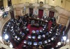 Senado: el Gobierno aprobó la ley de propiedad privada, pero tuvo que quitar otro capítulo