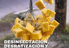 La Ciudad continúa con el cronograma de desratización en distintos sectores de Capital