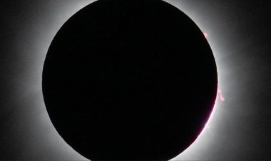 La NASA transmitirá en vivo el eclipse solar del 12 de agosto: cómo seguirlo paso a paso