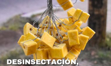 La Ciudad continúa con el cronograma de desratización en distintos sectores de Capital
