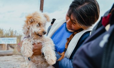 La Municipalidad de Jáchal realizó una nueva jornada de esterilización en Bella Vista