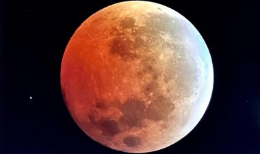 Eclipse lunar en Argentina: a qué hora se verá la "Luna Roja" y cómo observarla