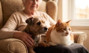 Buscan que perros y gatos puedan acompañar a los adultos mayores en residencias geriátricas