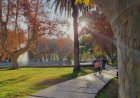 Martes con ascenso de la temperatura