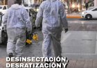 La Ciudad continúa con el cronograma de desinsectación y desratización