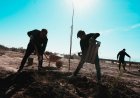 El Mogote será sede de una jornada de voluntariado verde por el Día de la Primavera