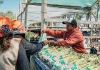 Por el viento Zonda, la Fiesta del Espárrago y el Alcaucil se reprograma para el 4 de octubre