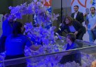 La Caja de Acción Social entregó premios en una jornada colmada de público