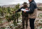Inclemencias climáticas: qué hacer ante daños en la producción provocados por lluvias y cómo realizar la denuncia