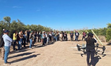 100 empresas de distintas provincias se sumaron a la Jornada a Campo de ArgOliva