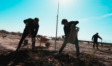 El Mogote será sede de una jornada de voluntariado verde por el Día de la Primavera