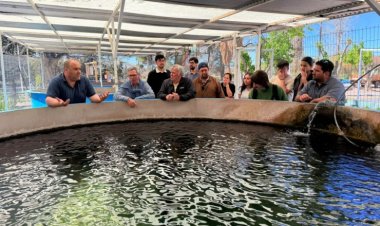 Especialistas realizaron estudios en los embalses de San Juan