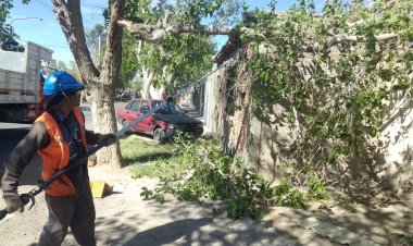 Chimbas desplegó personal de Servicios ante las consecuencias del viento Zonda