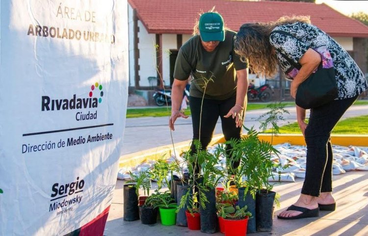 Rivadavia celebra el Día del Árbol Provincial con una gran jornada de Eco Canje y conciencia ambiental