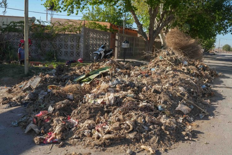 Chimbas realizó tareas de limpieza en canales de El Mogote Viejo para prevenir desbordes