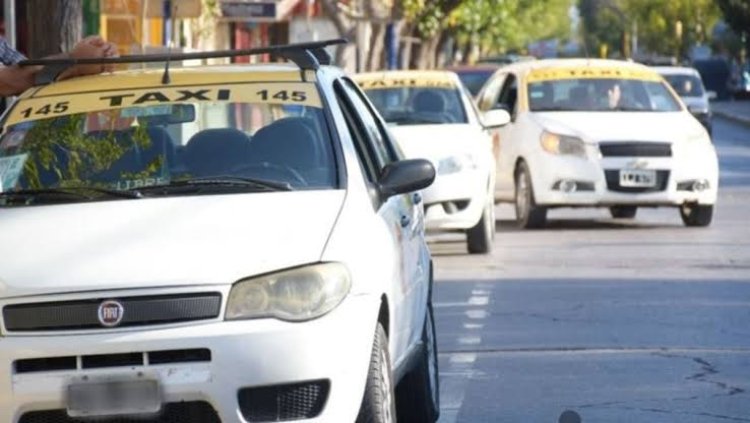 El Registro Provincial de Transporte ya superó los 400 inscriptos