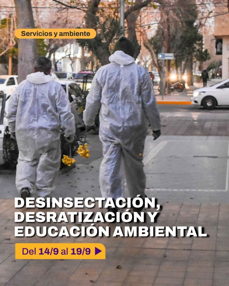 La Ciudad continúa con el cronograma de desinsectación y desratización